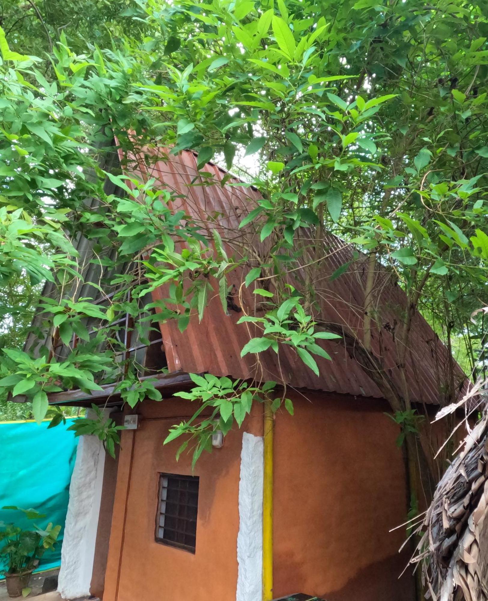 Vilari Hotell Auroville Eksteriør bilde