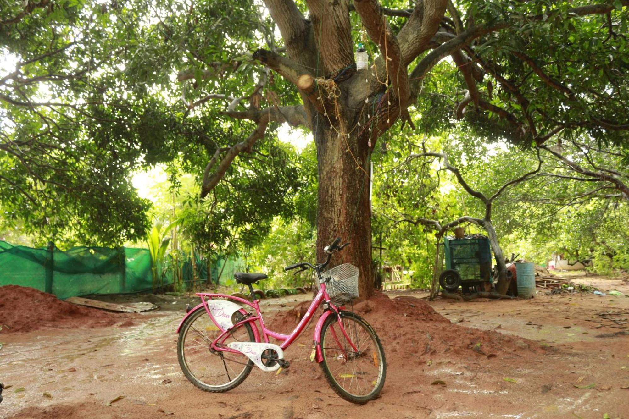 Vilari Hotell Auroville Eksteriør bilde